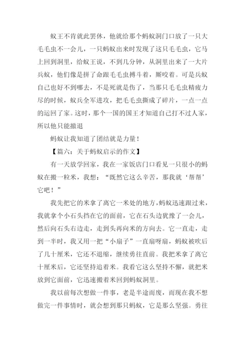 关于蚂蚁启示的作文.docx