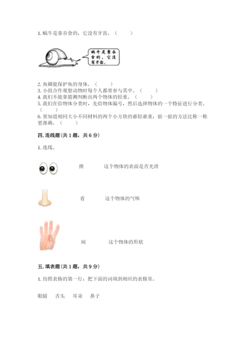 教科版一年级下册科学期末测试卷附参考答案（考试直接用）.docx