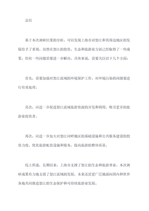 上海怒江调研报告