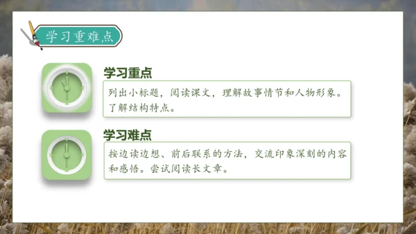 【核心素养】部编版语文四年级下册-21.芦花鞋（课件）