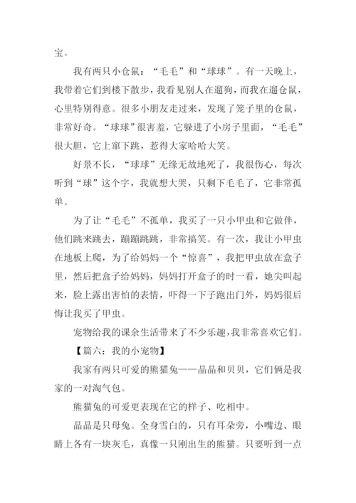 我的小宠物作文400字.docx