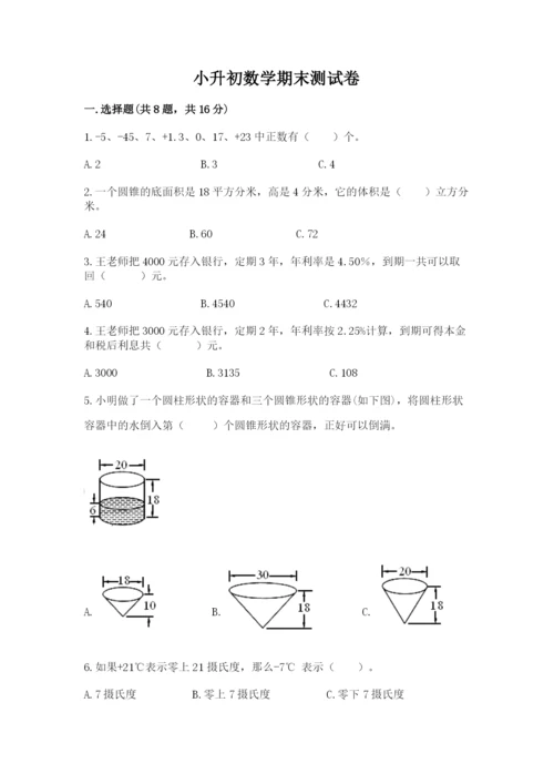 小升初数学期末测试卷完美版.docx