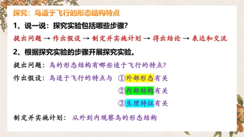 人教版生物八年级上册5.1.6《鸟》课件(共27张PPT)