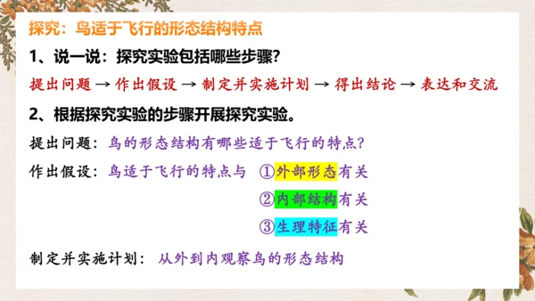 人教版生物八年级上册5.1.6《鸟》课件(共27张PPT)