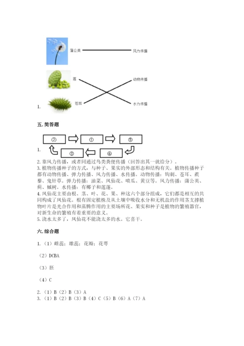 科学四年级下册第一单元植物的生长变化测试卷附完整答案【名师系列】.docx