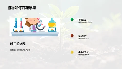 探索植物成长