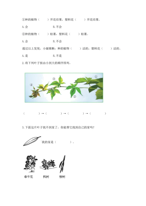 教科版科学一年级上册第一单元《植物》测试卷附答案【b卷】.docx