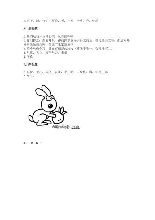 教科版小学科学一年级下册期末测试卷【有一套】.docx