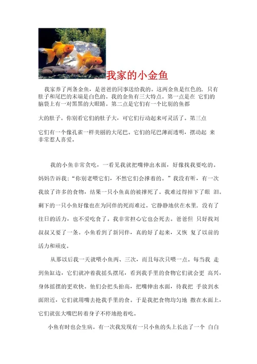 描写小动物的作文。