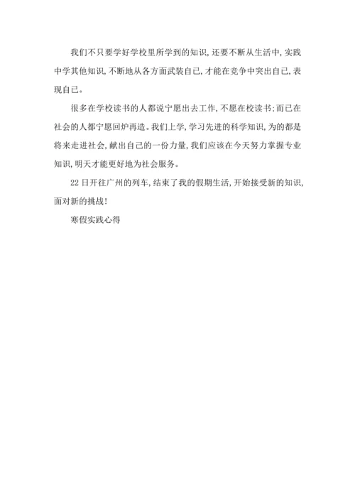 初中学生寒假社会实践心得5篇.docx