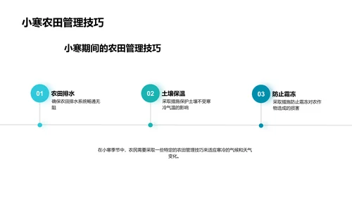 小寒节气农业指南PPT模板