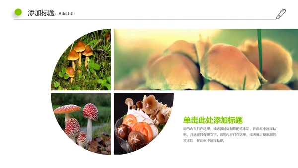 高清野生菌类动态PPT模板