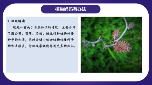 统编版2023-2024学年二年级语文上册单元复习第一单元（复习课件）