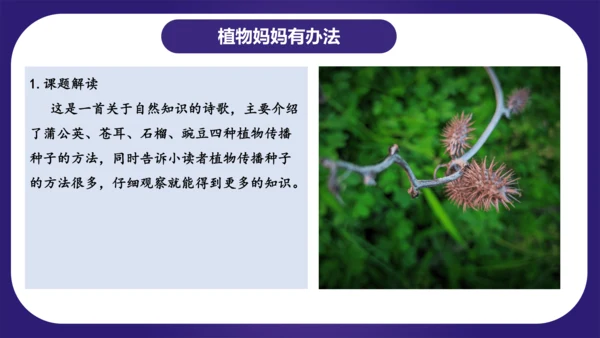 统编版2023-2024学年二年级语文上册单元复习第一单元（复习课件）