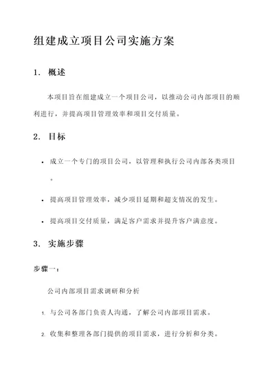 组建成立项目公司实施方案