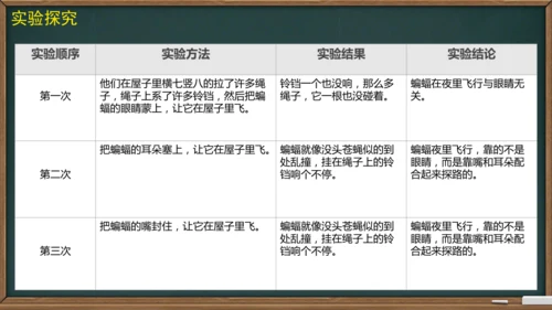 6 夜间飞行的秘密（课件）
