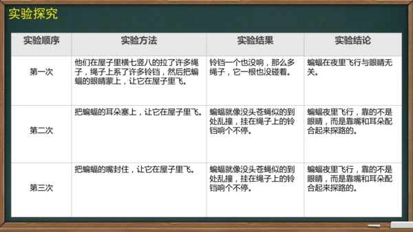 6 夜间飞行的秘密（课件）