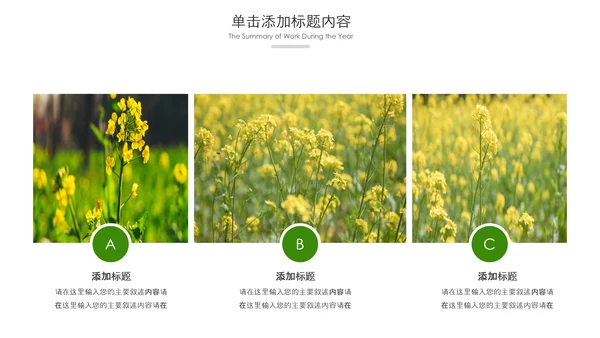 春天乡村旅游油菜花风景油菜花田PPT模板