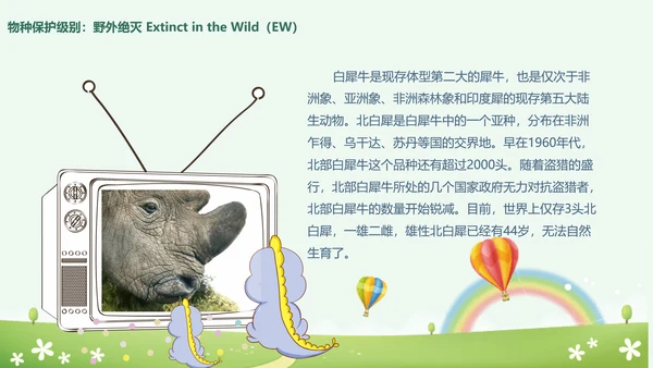 世界动物日小动物集合PPT模板