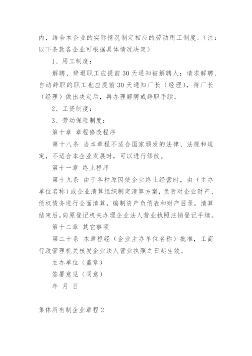 集体所有制企业章程.docx