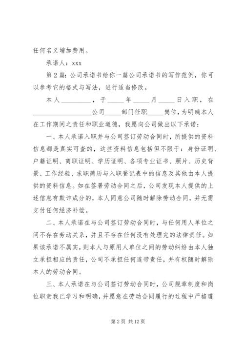 公司承诺书（共9篇）.docx