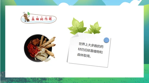 森林防火保护森林，家校安全通用PPT模板