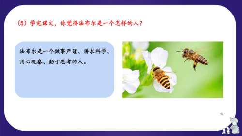 统编版三年级语文下学期期中核心考点集训第四单元（复习课件）