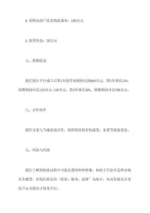 重庆电商创业计划书