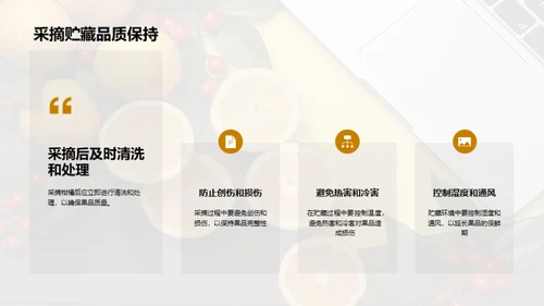 柑橘质量全链条提升