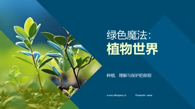 绿色魔法：植物世界