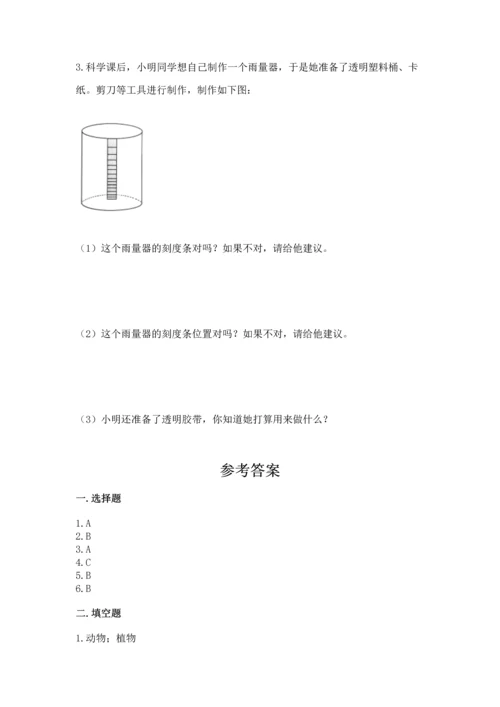教科版三年级上册科学期末测试卷精品【达标题】.docx