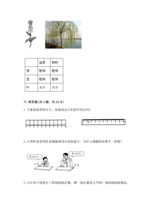 教科版一年级上册科学期末测试卷带答案（夺分金卷）.docx