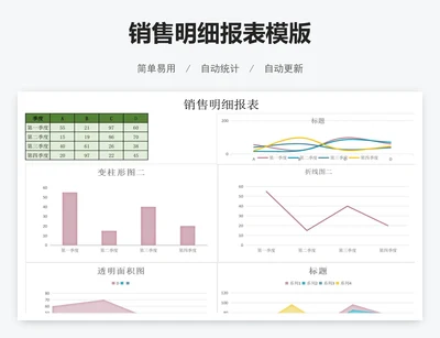 销售明细报表模版