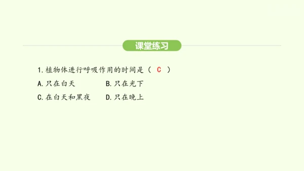 第三单元-第二章-第三节-呼吸作用课件-2024-2025学年七年级生物下学期人教版(2024)(共