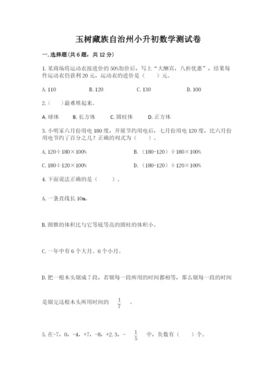 玉树藏族自治州小升初数学测试卷新版.docx