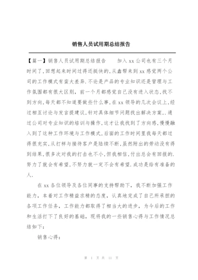 销售人员试用期总结报告.docx