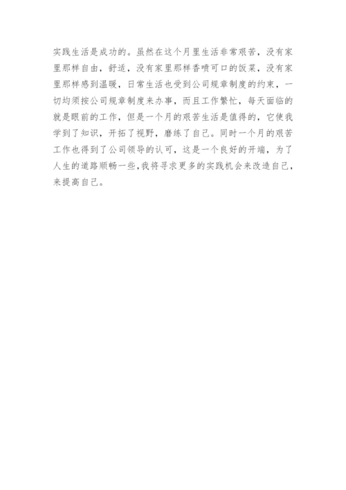 化工社会实践论文.docx