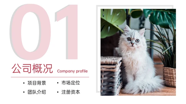 猫舍咖啡馆创业融资商业计划书通用PPT模板