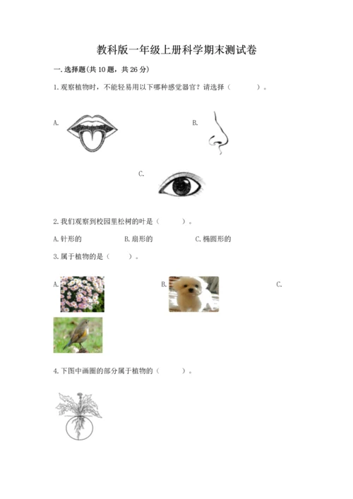 教科版一年级上册科学期末测试卷精品【模拟题】.docx