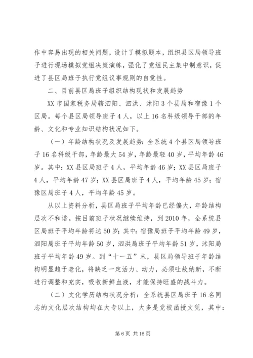 国税班子调研报告.docx