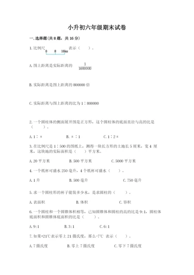 小升初六年级期末试卷【名师系列】.docx