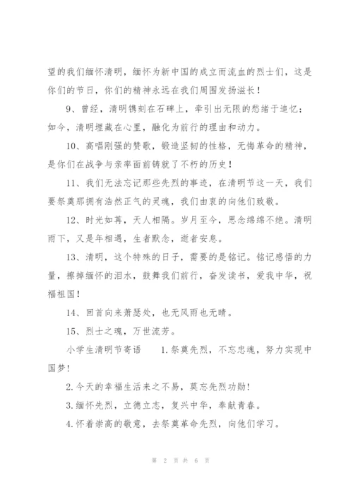 小学生清明节寄语.docx