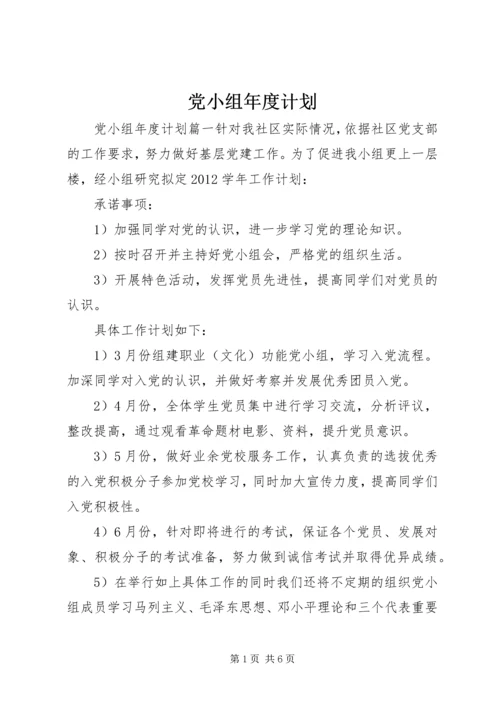 党小组年度计划.docx