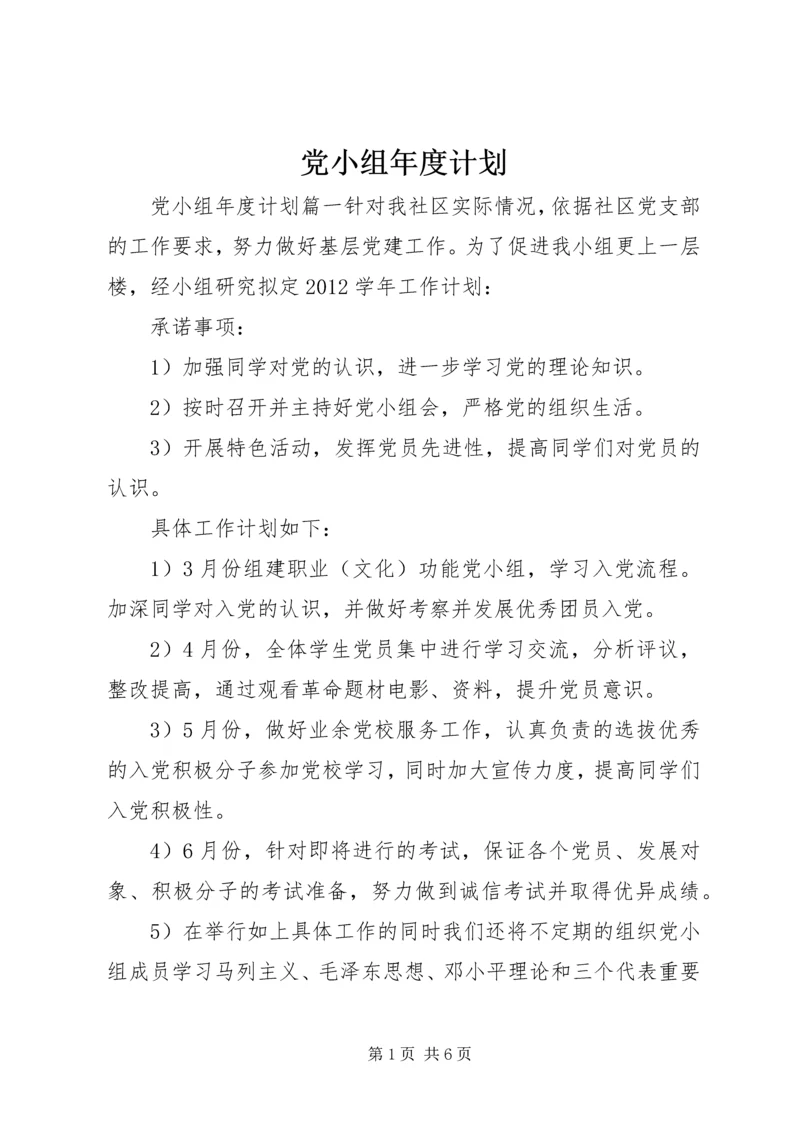 党小组年度计划.docx