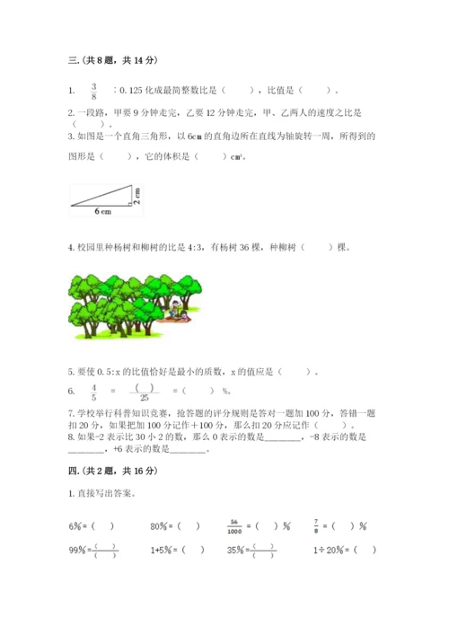 小学数学六年级下册竞赛试题附答案【典型题】.docx