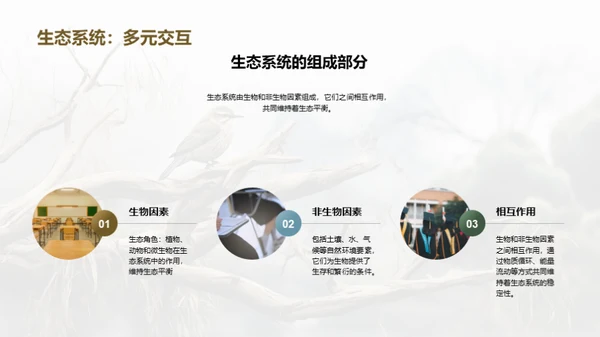 水墨风教育培训教学课件PPT模板