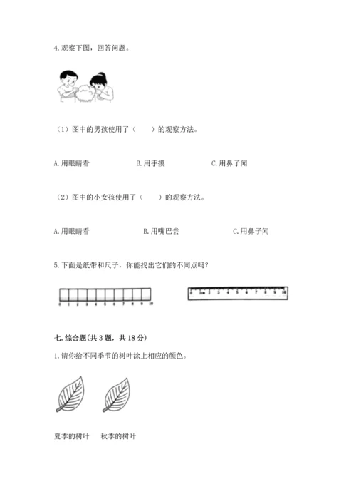 教科版一年级上册科学期末测试卷及1套完整答案.docx