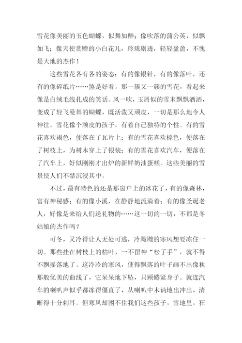 关于冬天的作文300字.docx