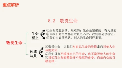 【新课标】七上 第四单元 生命的思考 期末复习课件(共41张PPT)