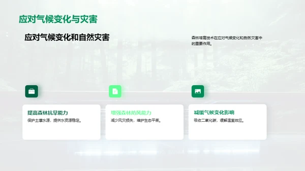森林培育:科技与未来